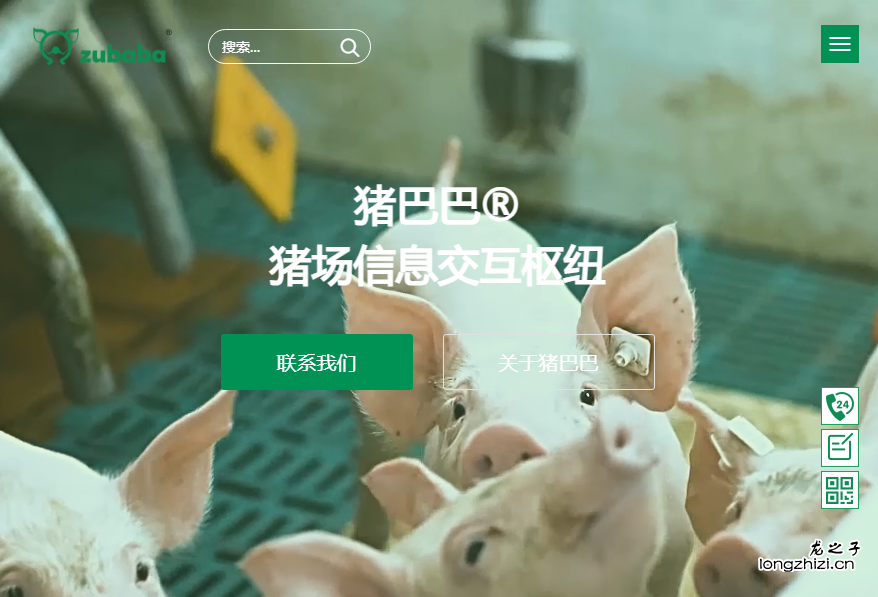 青岛东吉丰畜牧科技有限公司猪巴巴网站制作