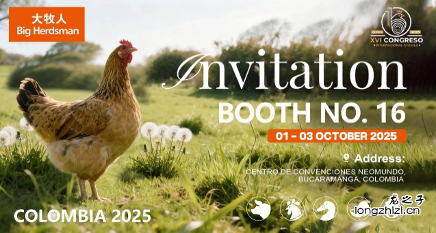 青岛大牧人机械股份有限公司网站制作