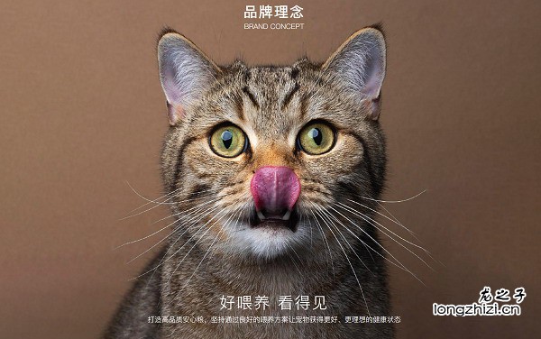 域名实名认证概述