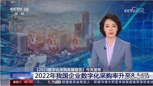 论文章相关性对于网站排名的重要性